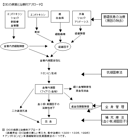 【DICの病態と治療的アプローチ】