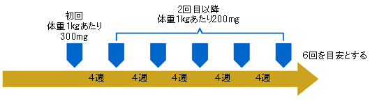 【図-2：免疫グロブリン製剤の使い方】