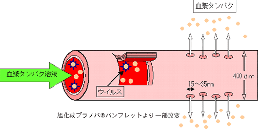 ウィルス除去膜