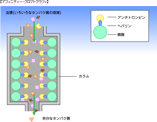 【アフィニティー・クロマトグラフィ】