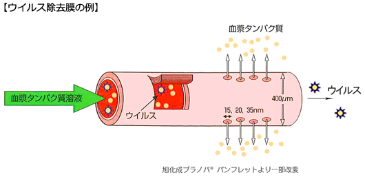 ウイルス除去膜処理の例