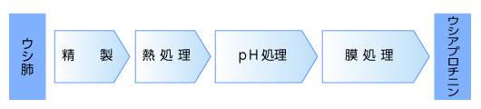ウシアプロチニンの製法とウイルス不活化・除去