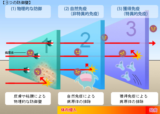 三つの防御壁