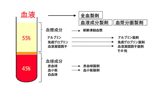 血液とは？血液製剤と血漿分画製剤の違いとは？